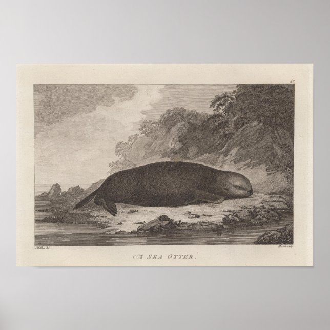 Póster Nutrición marina, Columbia Británica (Frente)