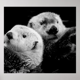 Póster Nutrición marina: Par blanco negro.