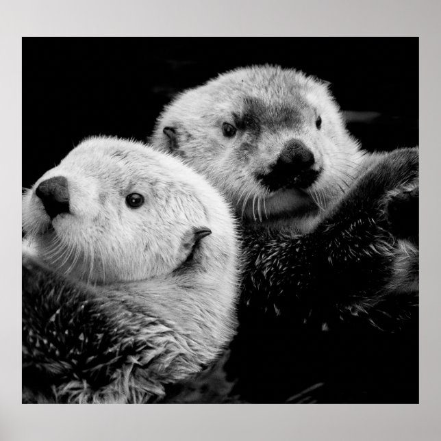 Póster Nutrición marina: Par blanco negro. (Frente)