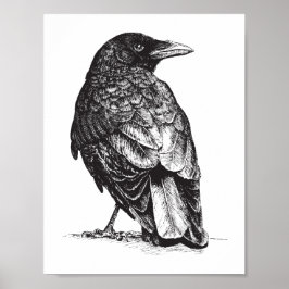 Póster NW Crow