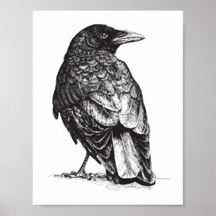 Póster NW Crow