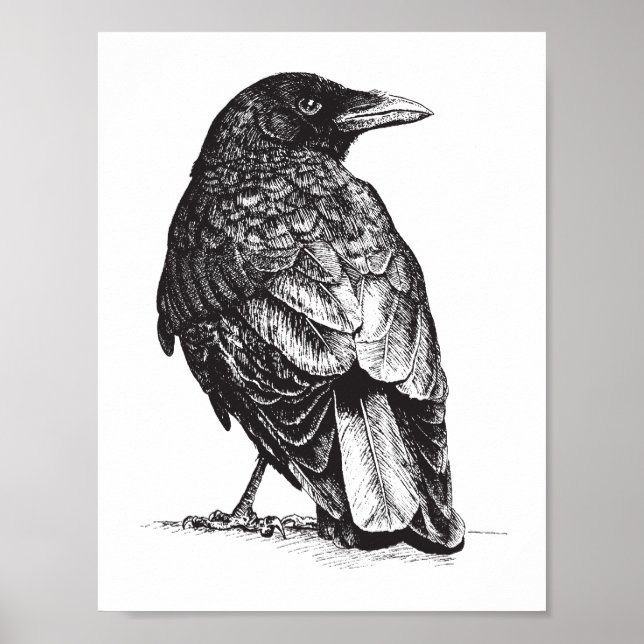 Póster NW Crow (Frente)