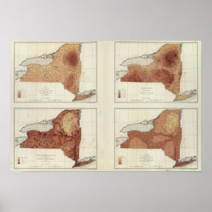 Póster NY lluvias, población, elevación, temperatura