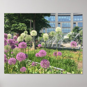 Póster NYC Columbus Circle New York City Purple Allium