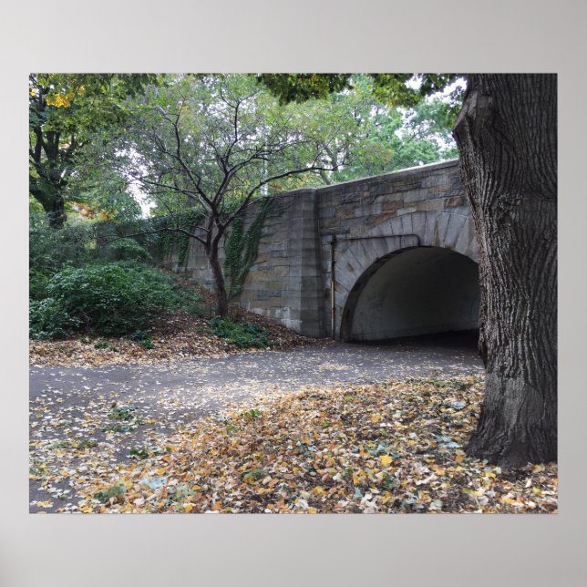 Póster NYC Riverside Park Fotografía del Poster de Nueva  (Frente)