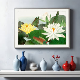 Póster Nymphaea lotus