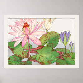 Póster Nymphaea Lotus #1, Pink, Lily Pad, Tanigami Konan,