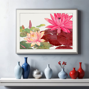 Póster Nymphaea lotus, floral