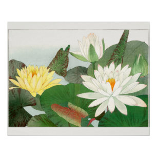 Póster Nymphaea lotus, grabado en madera japonés, 1917