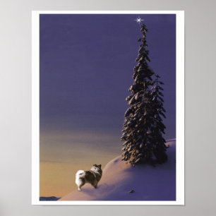 Póster "O Christmas Tree" Keeshond poster