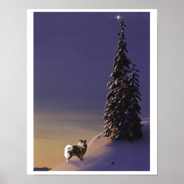 Póster "O Christmas Tree" Keeshond poster (Frente)