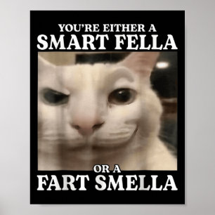 Póster O eres un chico inteligente o un gato de felpa