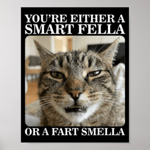Póster O eres un tipo inteligente o un gato divertido que