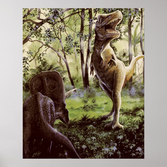 Poster o impresión (Frente)