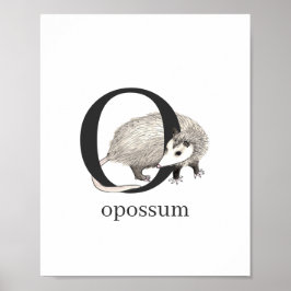 Póster O para Opossum Poster