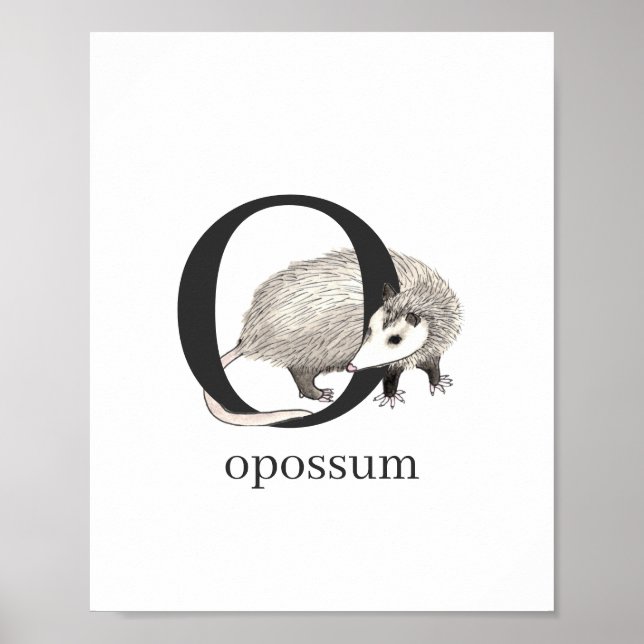 Póster O para Opossum Poster (Frente)