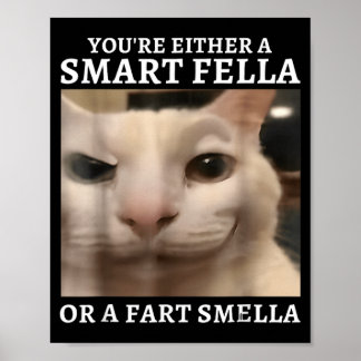 Póster O Un Tipo Inteligente O Un Gato Divertido Que Huel