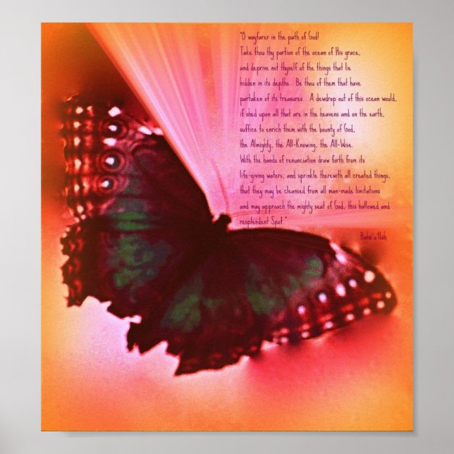 Póster O Wayfarer (Frente)