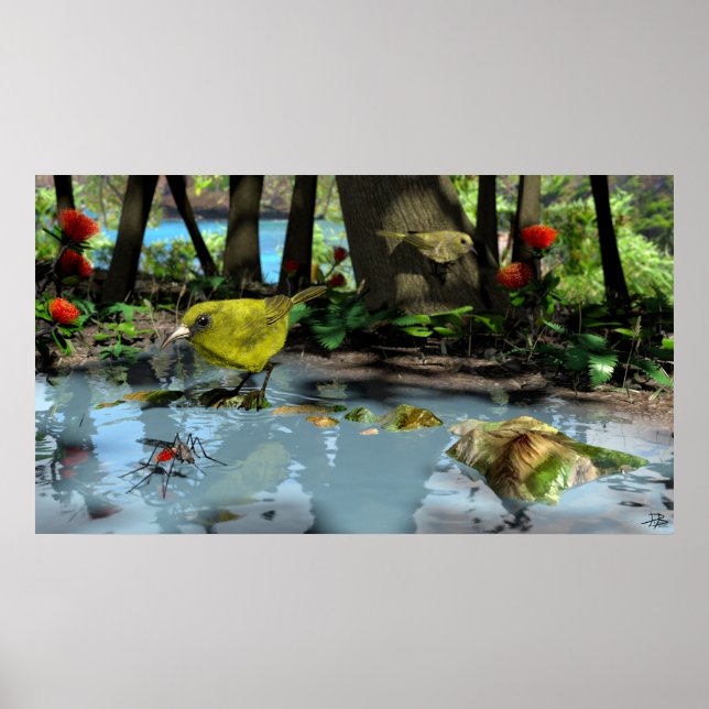 Póster Oahu Amakihi (Frente)