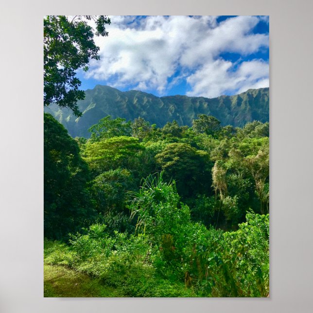 Póster Oahu, bosque lluvioso de Hawaii (Frente)