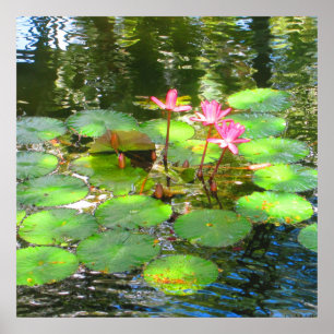 PÓSTER OAHU, HAWAII # 8 POSTER