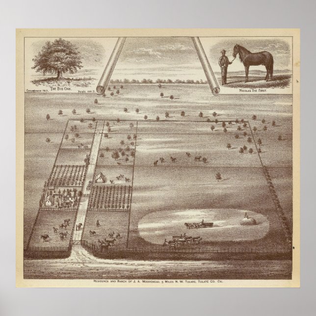 Póster Oakdale Ranch (Frente)