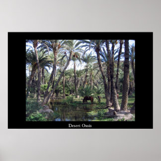 Póster Oasis del desierto
