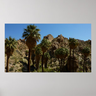 Póster Oasis Lost Palms I en el Parque Nacional Joshua Tr