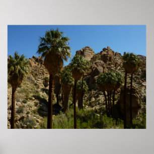 Póster Oasis Lost Palms I en el Parque Nacional Joshua Tr
