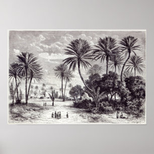 Póster Oasis of Gafsa: Tunis