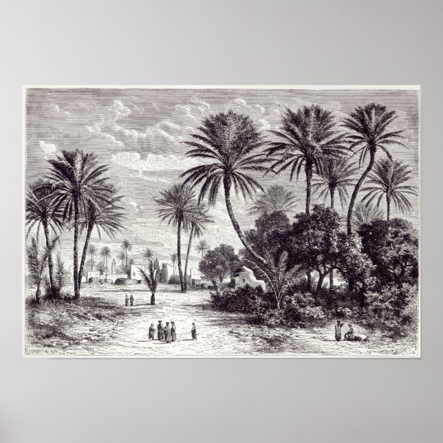 Póster Oasis of Gafsa: Tunis (Frente)