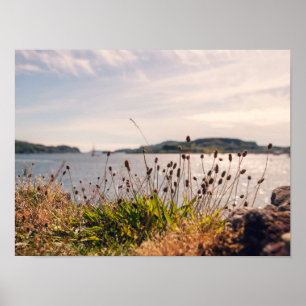 Póster Oban Waterfront