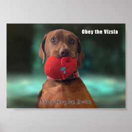 Póster Obedece a la Vizsla
