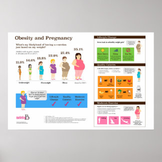 Póster Obesidad y embarazo Poster infográfico de 36" x 24