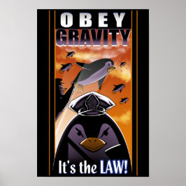 Póster Obey Gravity