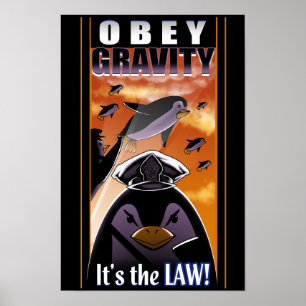 Póster Obey Gravity