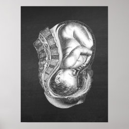 Póster OBGYN Anatomía Art Decor no 3