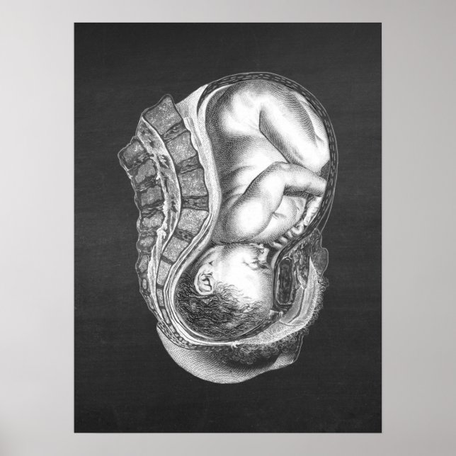 Póster OBGYN Anatomía Art Decor no 3 (Frente)