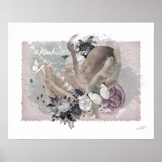 Póster Obgyn Poster (Frente)