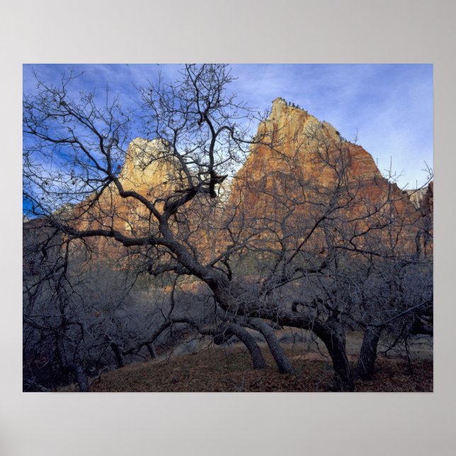Póster Obles en invierno, Corte de los Patriarcas (Frente)