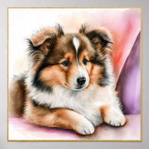 Póster Obra de Shetland Sheepdog para Chicas