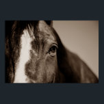 Póster Obra fotográfica de caballos de Sepia<br><div class="desc">Arte de Cabeza de Caballo - Cara de caballo - Fotografía de arte animal moderno</div>