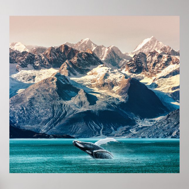Póster Observación de ballenas de Alaska: excursión en ba (Frente)