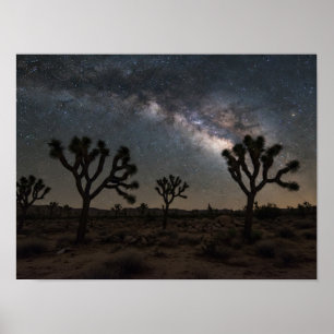 Póster Observación de estrellas en el desierto: Vía Lácte