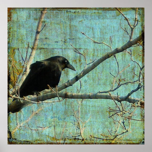 Póster Observador (Frente)