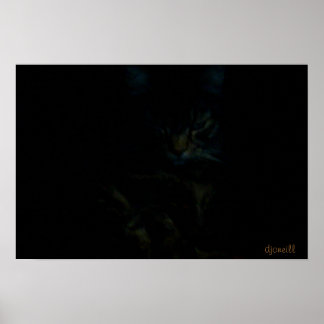 Póster Observador en las sombras