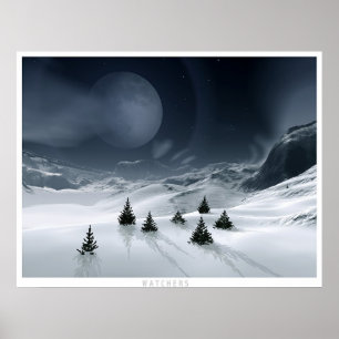 Póster Observadores