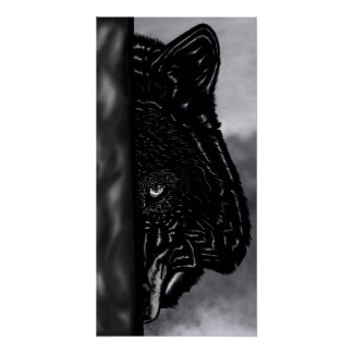 Póster Observando sin miedo: bosque de lobos dibujado a m