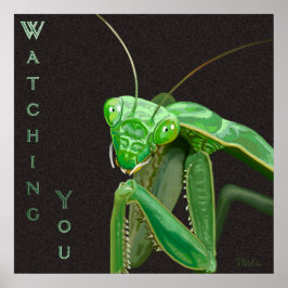 Póster Observándote - Versión verde
