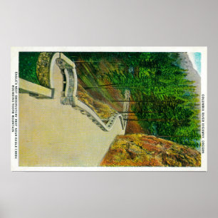 Póster Observatorio de la jerarquía de Eagle en el río